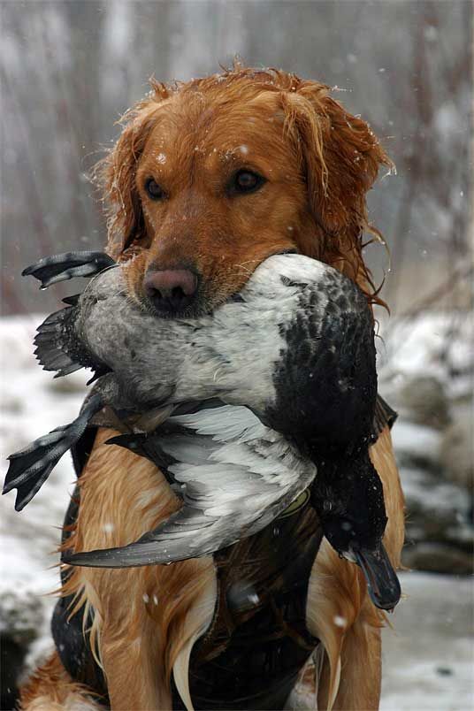 Due to the inclement weather, Powder Creek will be closed Sunday, January the 12th. We will reopen Wednesday, January the 15th. Please check your emails, Powder Creek's website, Facebook, or our Twitter account for any new updates. Have a great weekend!