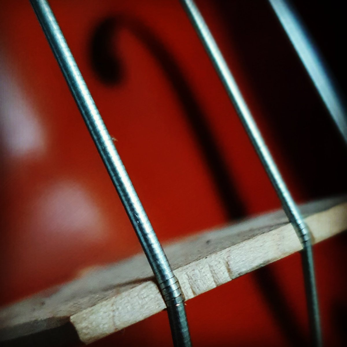 TruroSinfonia's tweet photo. Saint-Saens Cello Concerto No.1 in A Minor Op.33 --- 8 February 2020, 7.30pm --- Church of King Charles the Martyr, Falmouth ---
Featuring Danny Jones of #cornwallquartet 
.
#cello #celloplayer #cellist #saintsaens #cornwall365 #whatsoncornwall #music #classical https://t.co/UPOzTTU47F