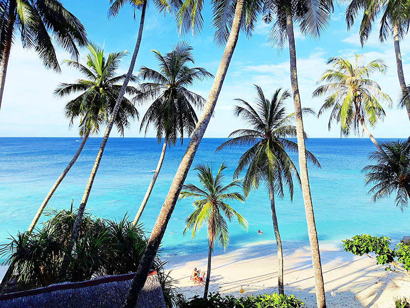 Matkamessut 2020 – Voita liput kahdelle! Osallistu kommentoimalla linkin blogikirjoitusta.
#matkablogi #matka2020 #matkamessut tickettoadventures.wordpress.com/2020/01/11/mat…