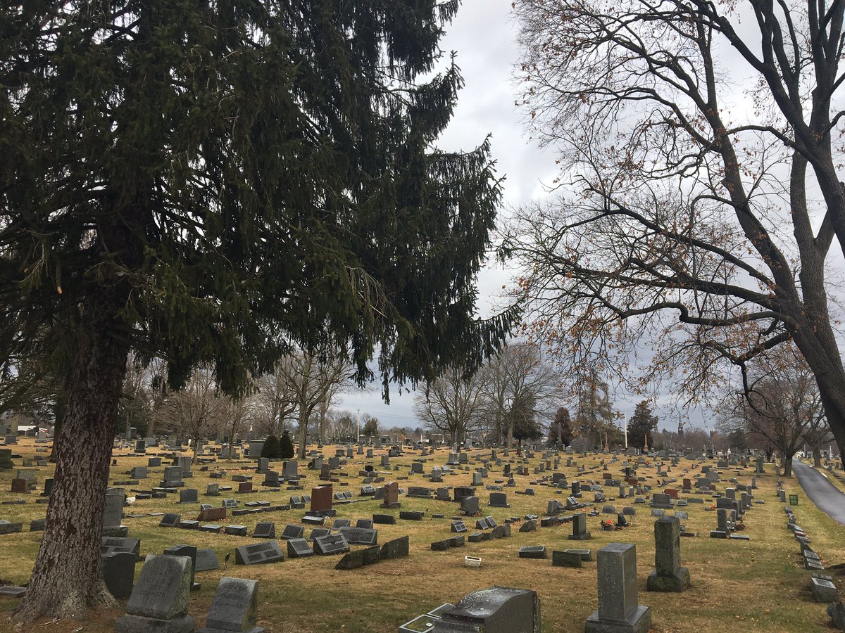 Joe_Scapellato's tweet photo. This year, I’m making it a point to go for a walk with my dog through the local graveyard everyday. I’d forgotten how much good it does me, how it helps me feel what’s invisible. https://t.co/0Uq31iqb4H