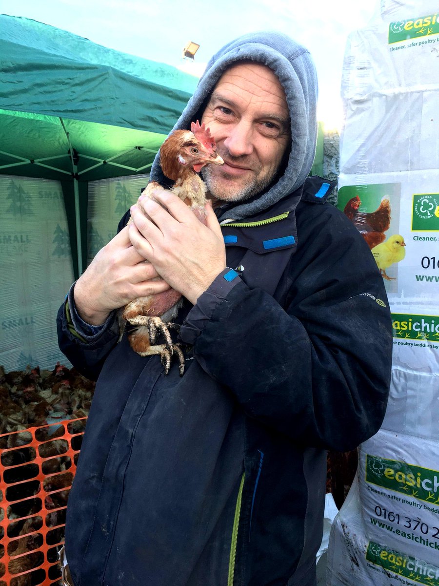 PaulMacro's tweet photo. Such an honour to help the amazing Team Watton Fresh Start For Hens. Thanks remome nearly 250 Hens today. Off to their retirement homes #rescuechickens #fsfh #freshstartforhens https://t.co/yLjfGMSM5N