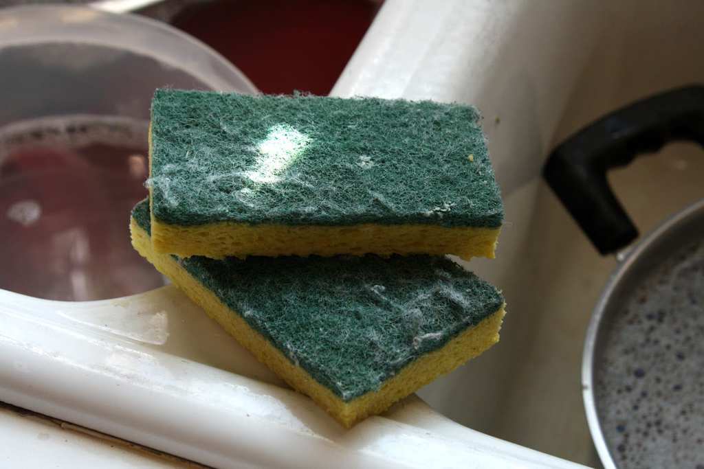 mwakatobeyusuph's tweet photo. Badili SPONGE /STEEL WOOLS Unazotumia kuosha vyombo Nyumbani

Inasemekana Bakteria wanaojikusanya hapo huweza zidi wale wa tundu la choo🤧

/Magonjwa ya Tumbo ya mara kwa mara huanzia hapo/

🔺Badili japo mara 1 au zaidi ndani ya mwezi kulingana na matumizi
#ElimikaWikiendi https://t.co/M4IJfuuWDP