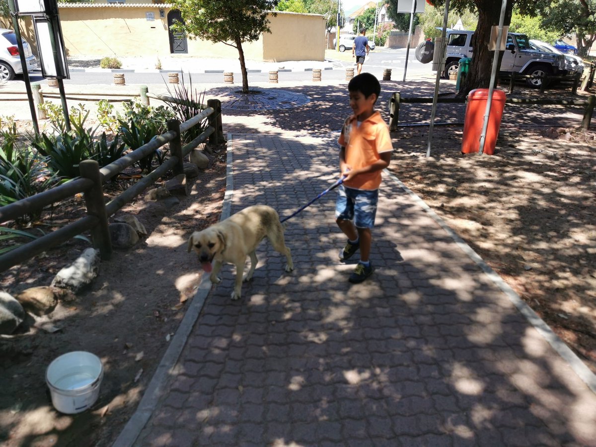 LanceTheWitten's tweet photo. A boy and his dog ❤️ #GabrielJack and #LokiTheDog https://t.co/Pib4zmbyrG