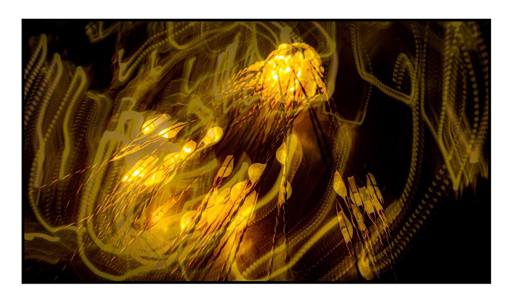 JoAtamon1's tweet photo. ICM (Intentional Camera Movement) https://t.co/xORAMUPAPO https://t.co/JvaUbioePe
