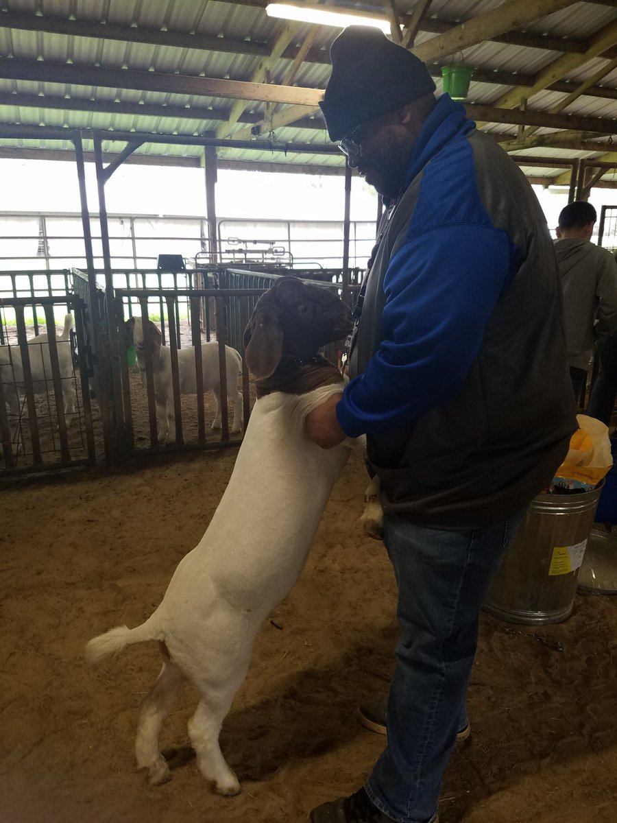 StewMrHistory's tweet photo. This was fun. @KleinForestFFA @KleinForest https://t.co/hvM2nChHWT