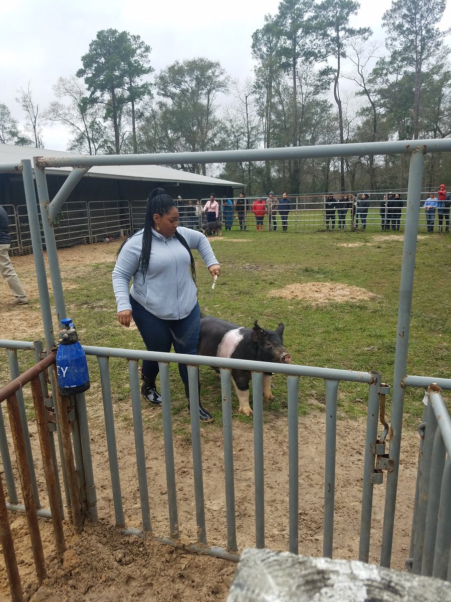 StewMrHistory's tweet photo. This was fun. @KleinForestFFA @KleinForest https://t.co/hvM2nChHWT