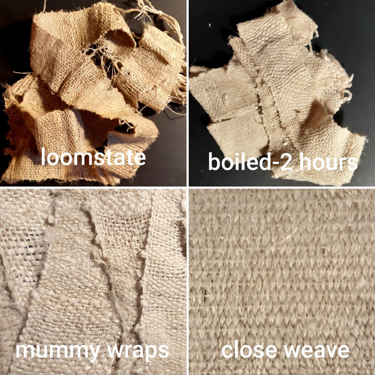 First mummy bandages ready for use, 2 metres of hand woven and largely hand spun linen from school grown flax @Cass_Liversidge