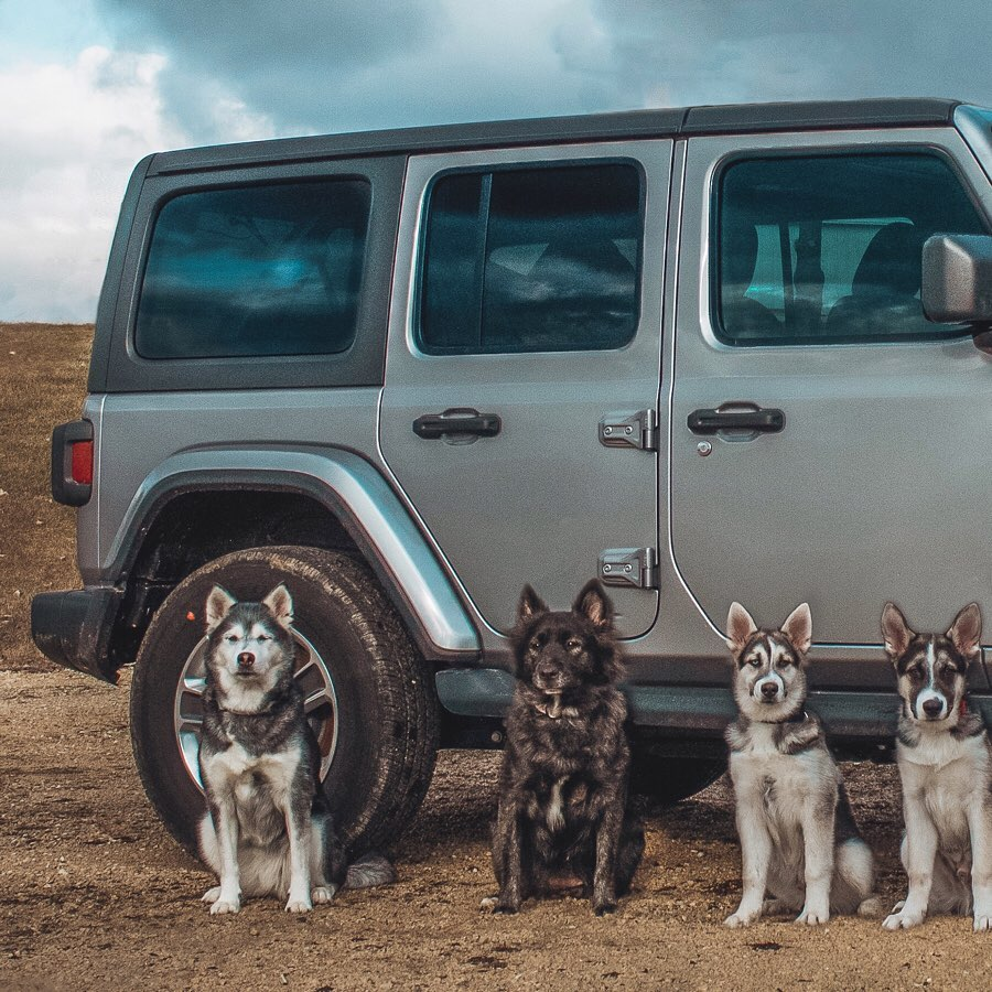 eurekacjd's tweet photo. Tail rated. ⠀⠀⠀⠀⠀⠀⠀⠀⠀⠀⠀⠀ ⠀⠀⠀⠀⠀⠀⠀⠀⠀⠀⠀⠀
📸: @theorlandowolfpack https://t.co/no7trDxmva