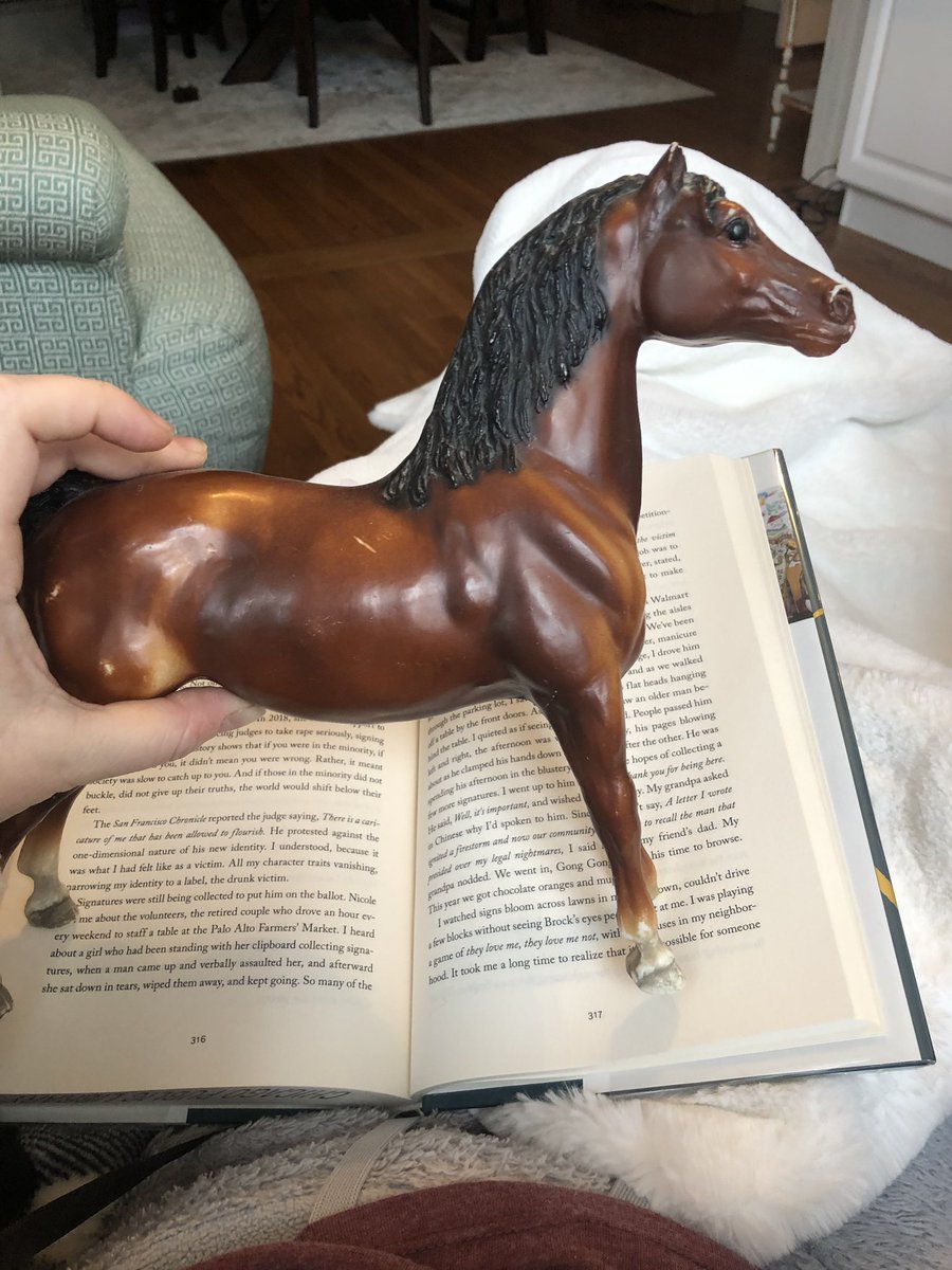 itsalicetime's tweet photo. p.s. this is my oldest Breyer. I got him when I was at-the-oldest five years old. His name is Man-O-War, not because he’s the official Breyer Man-O-War, but because he’s been through so MUCH. #minithon2020 #minihorse https://t.co/DiuWGaM0ZR