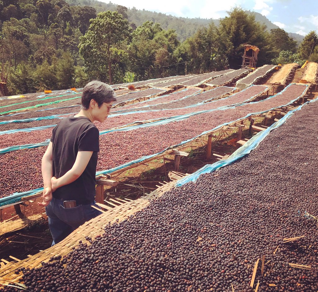 ethiocoffeeclub's tweet photo. Sourcing trip in Yirgacheffe area
#coffeesourcing #ethiopia #coffee #specialtycoffee #EthiopianCoffeeClub #Yirgacheffe #gedeb #cofeetourism #coffeeorigintrip https://t.co/Rj4nkiWW0a