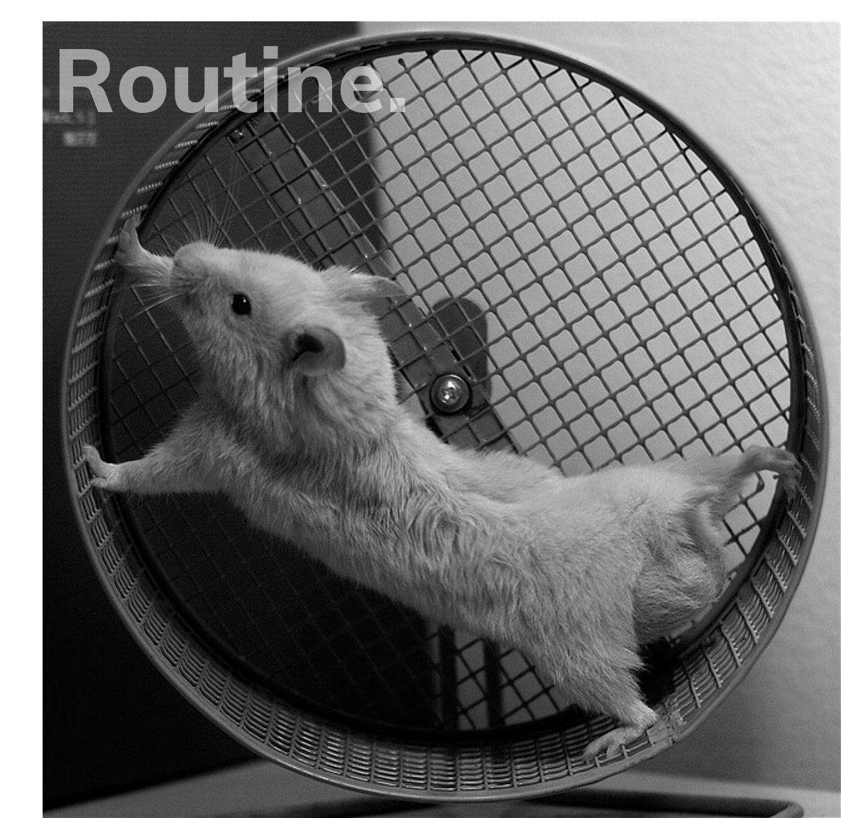 helloEPG's tweet photo. Creative minds are highly susceptible to distraction. Set expectations, align your workflow, get your mind into a regular routine of creative time. This routine will improve your success. https://t.co/ZnjDnB4N7g