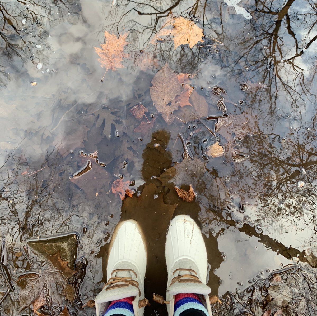 oh_joy__'s tweet photo. my feet https://t.co/5sjJsosjnP