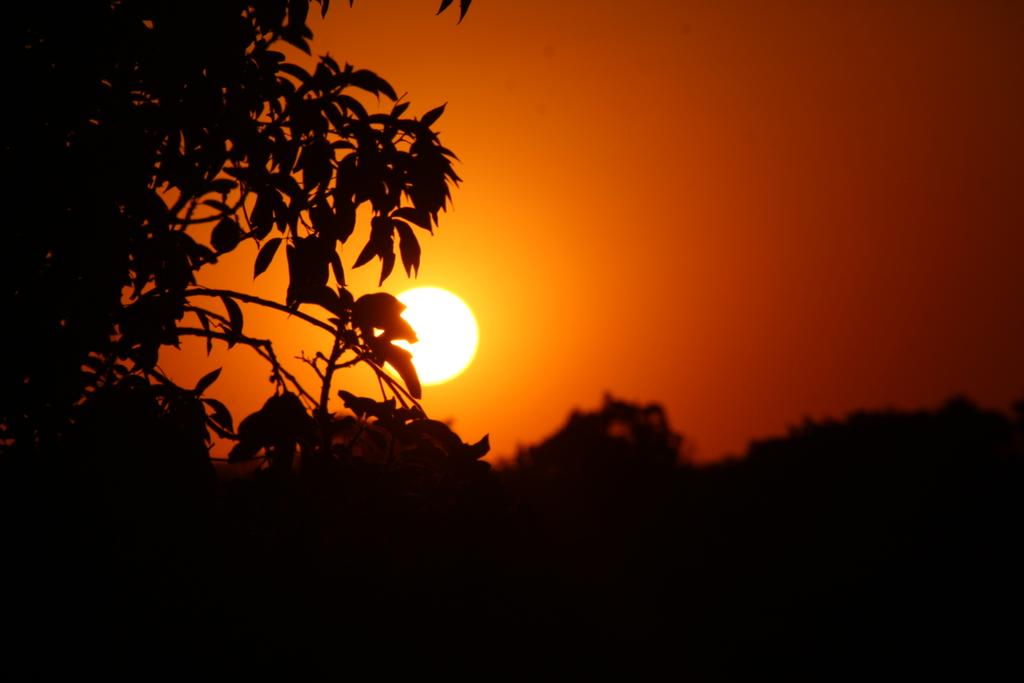 nikiwemtema's tweet photo. Golden hour ✨😍
#naturelover #naturebackground #nature #naturephotography #goldenhour #malawi #ilovemalawi #destinationmalawi #sunsetphotography #sunsetlover #ilovesunsets #nikiwephotography https://t.co/4qWIfwPutH