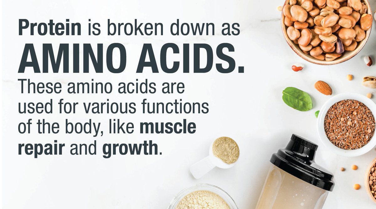 Herbalife's tweet photo. Start your year off right by learning more about what you put in your body. Most foods contain a combination of 3 #macronutrients: #protein, #carbohydrates and #fats. Check out this cheat sheet on protein to get the most out of what you eat. https://t.co/IsxeE4osWE