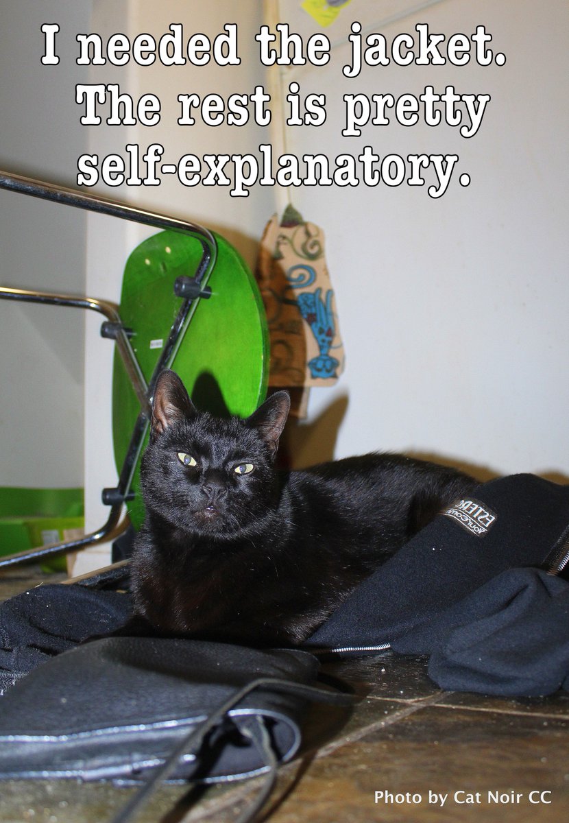 CatNoirCC's tweet photo. Happy #Caturday. Make sure you cause trouble for the humans. They love it, love your buddy Boris. #Blackcats #callmetrouble https://t.co/iSRg1jOHBB