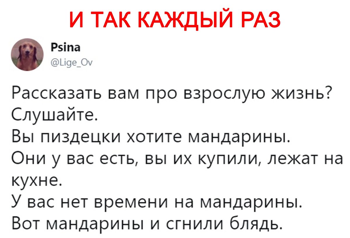 leprasorium's tweet photo. https://t.co/HFcgfe9Mf2