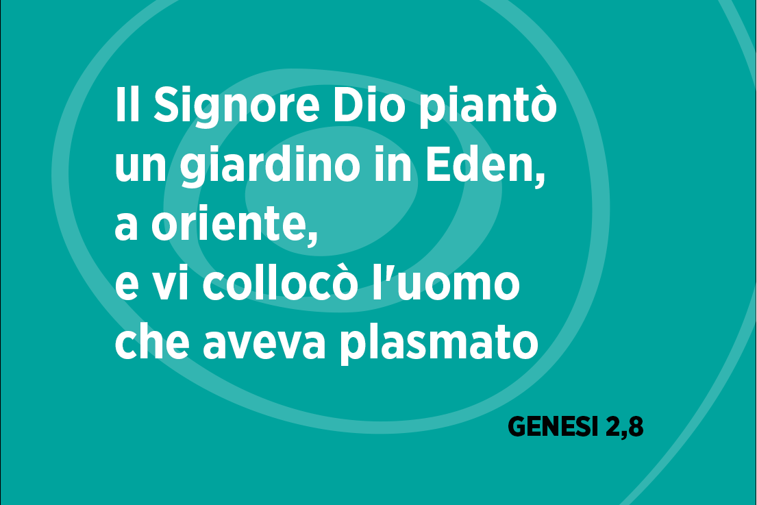 twittomelia's tweet photo. 📸 GENESI 2,8 📸
by @gianfranco_moc
•
Guarda al mondo intorno a te come a un regalo: è PER TE.
• https://t.co/MDp3oq3V9P