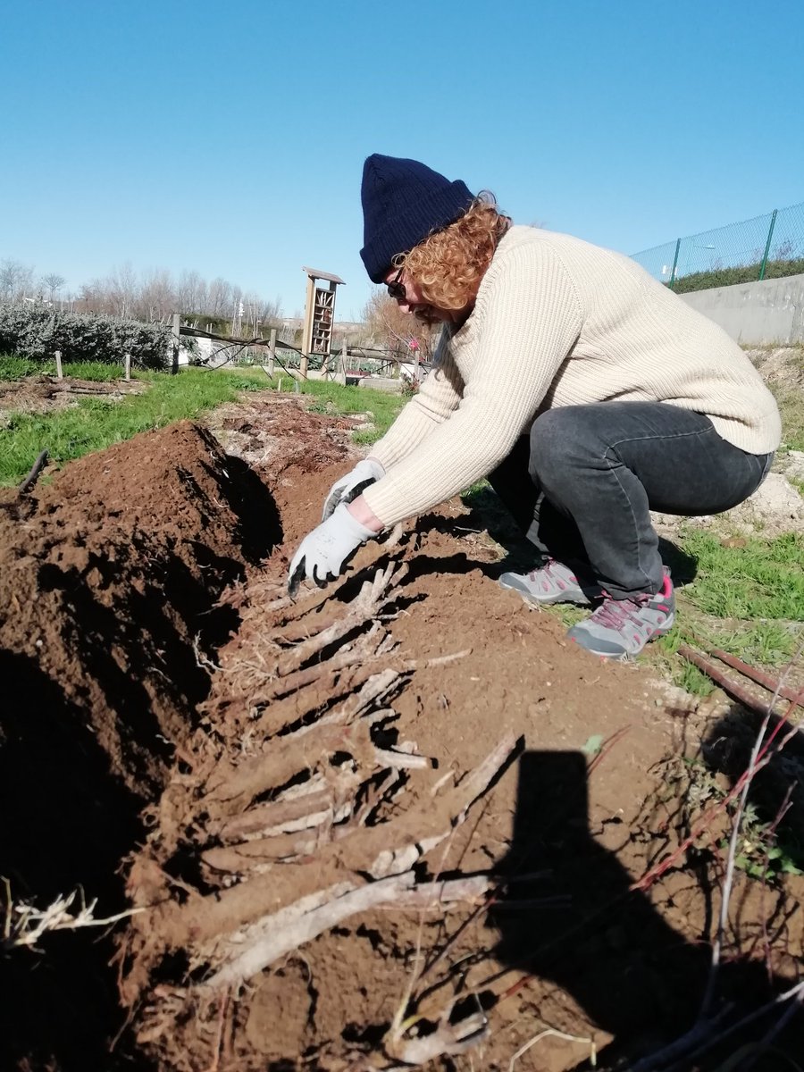 fondonatural's tweet photo. Mañana soleada y entretenida en la #Minireserva del #parquedelagua en #Zaragoza, cuidando nuestros árboles para las próximas plantaciones y actividades educativas. https://t.co/veaX19f2p9