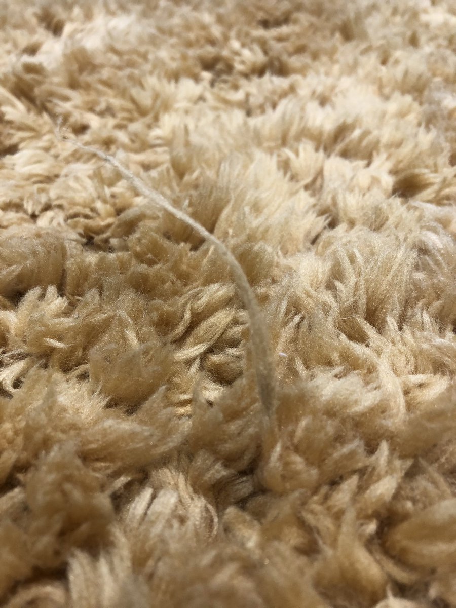 amack1986's tweet photo. @DunelmService hi, I have recently purchased a new rug from yourselves. We now have an issue with large bits/chunks coming away. Please advise,
Regards,
Adam Mackinder https://t.co/AZbj2a26Gp