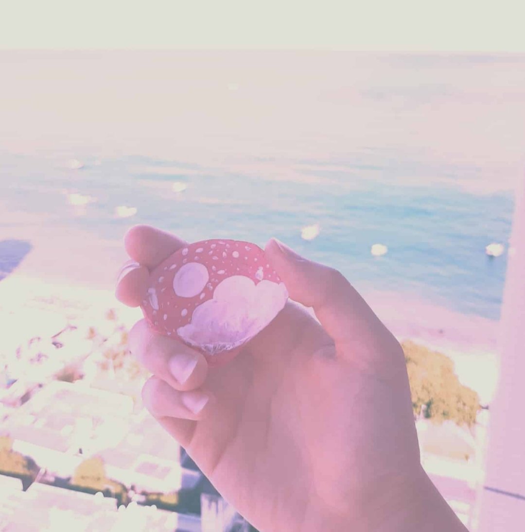 Jazzypink_Fox's tweet photo. Ufa! Finalmente está acabada! Theheh! Aí está a minha conchinha cor de rosa! Theheh! 
#jazzypinkfox #pinkskyonshell #pinksky #pinkshell #concharosa #concharosa🐚🌺 #ceurosanaconcha #ceurosa #pintura #praticandopintura #painting #praticingpainting #paintingshells #pintandoconchas https://t.co/V7punGCYR3