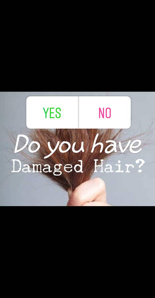 BasedHair's tweet image. Do you have damaged hair?