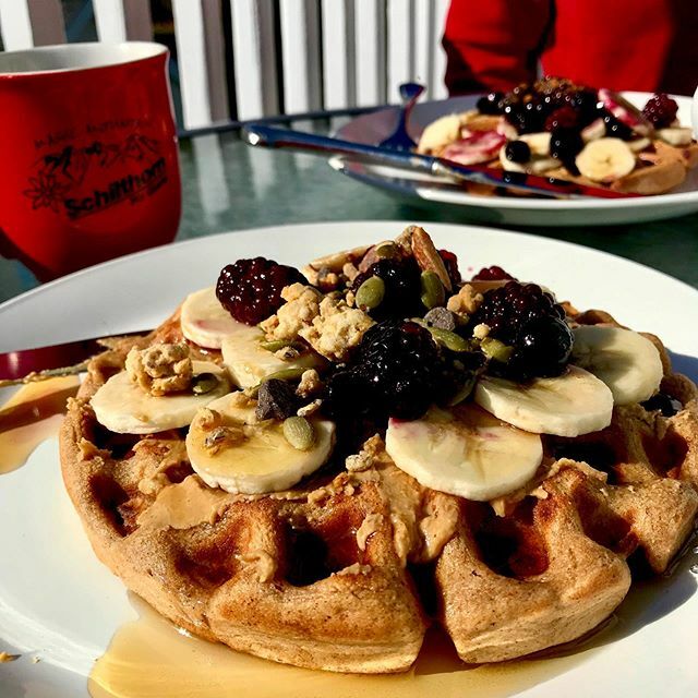 Alex_Andercat's tweet photo. when winter weather waffles, you take advantage and enjoy breakfast on the deck! 😻🧇☕️ @erinannjames https://t.co/04FIsWF5Uh https://t.co/U2YAuCXLDx