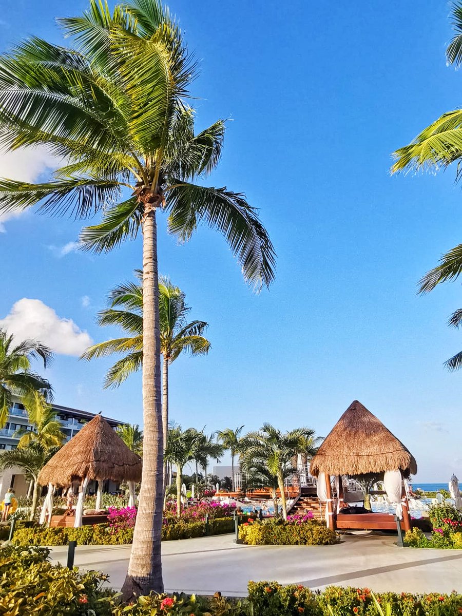 Enjoy stunning views and relaxing moments in the comfort of our Balinese beds by the swimming pools! This is one of the many privileges for our Preferred Club guests! DM us for more information or to upgrade your reservation.