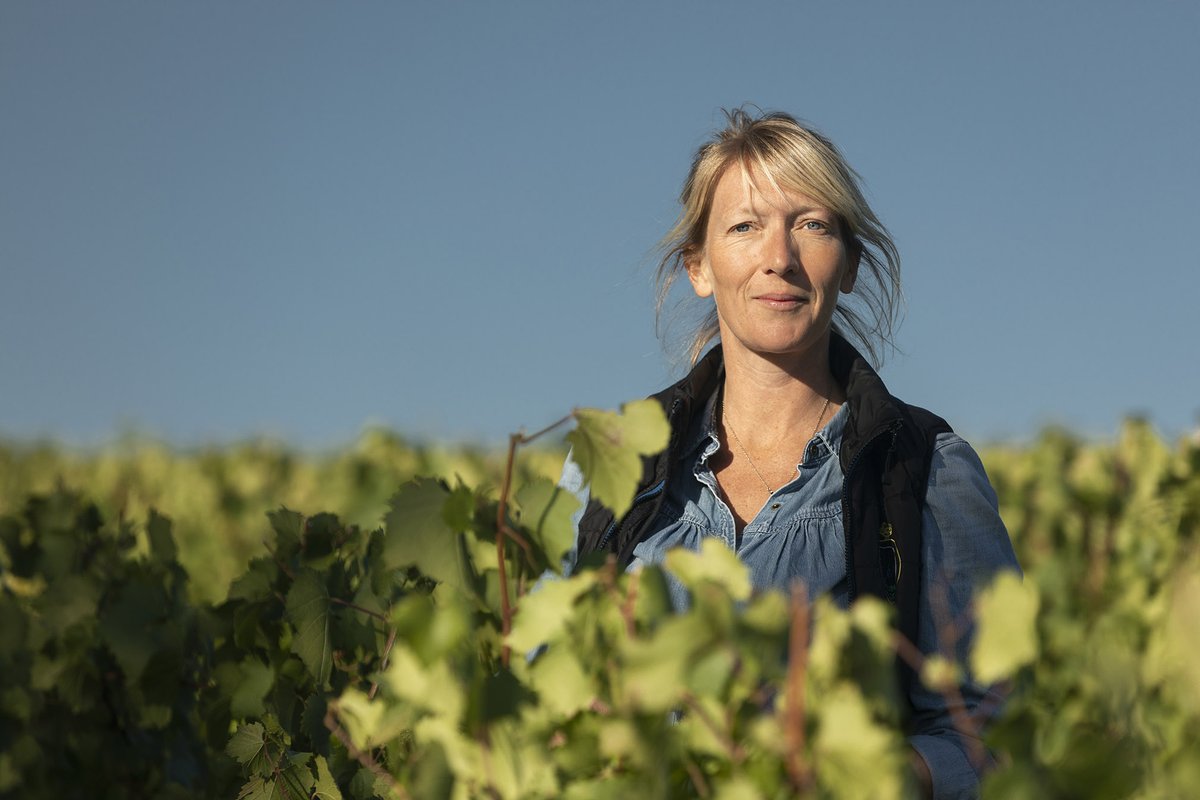 viamowines's tweet photo. ✨À la tête de l’historique Château de Béru, dont elle prend les rênes avec sa mère Laurence en 2006, Athénaïs de Béru incarne avec brio et sérénité le renouveau du chablisien. Son charisme et son instinct ne laissent personne indifférent…🙏
https://t.co/uDBwph4Srj https://t.co/5Ba5pEED8q