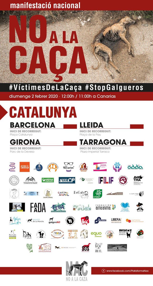 BARBASTROenCOMÚN (@enbarbastro) on Twitter photo 