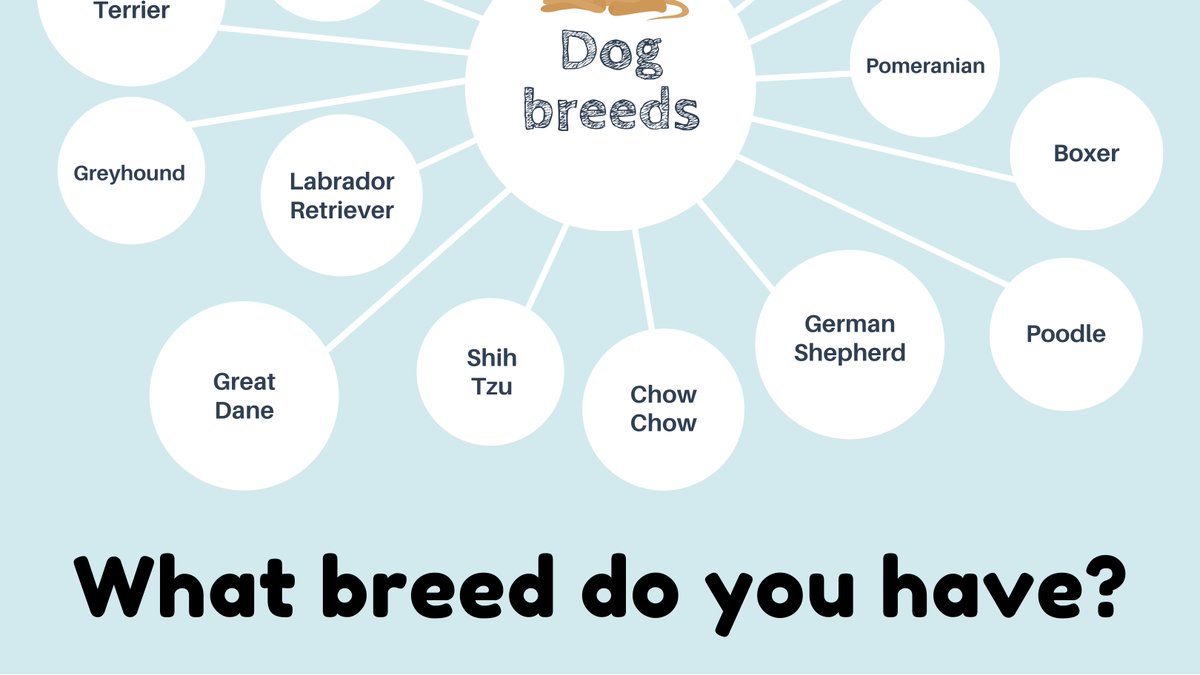 What breeds do you have? #threedogbakery #lasvegas #DogsofTwittter