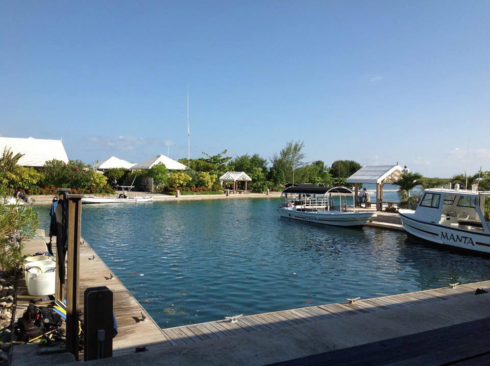 The best-kept secret in the tropics ☀️ Come dive with us!

Book your valet dive trip to Roatan: barefootdivers.com