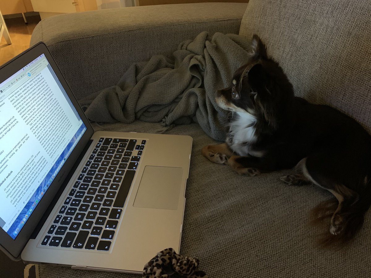 lisajaners's tweet photo. Va står de här egentligen? https://t.co/b1w1pDgYNq