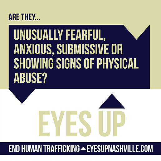 Fly Nashville on Twitter "2️⃣ There are an estimated 40.3 million
