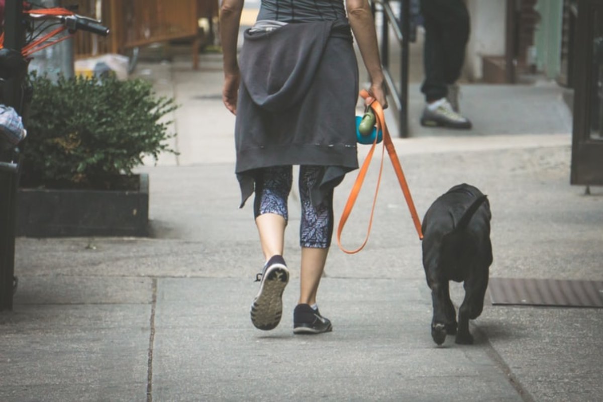 PetsGenStore's tweet image. As a general rule, it is recommended that you walk your dog at least 15 minutes, twice a day -- we'll make sure he looks great while you do.