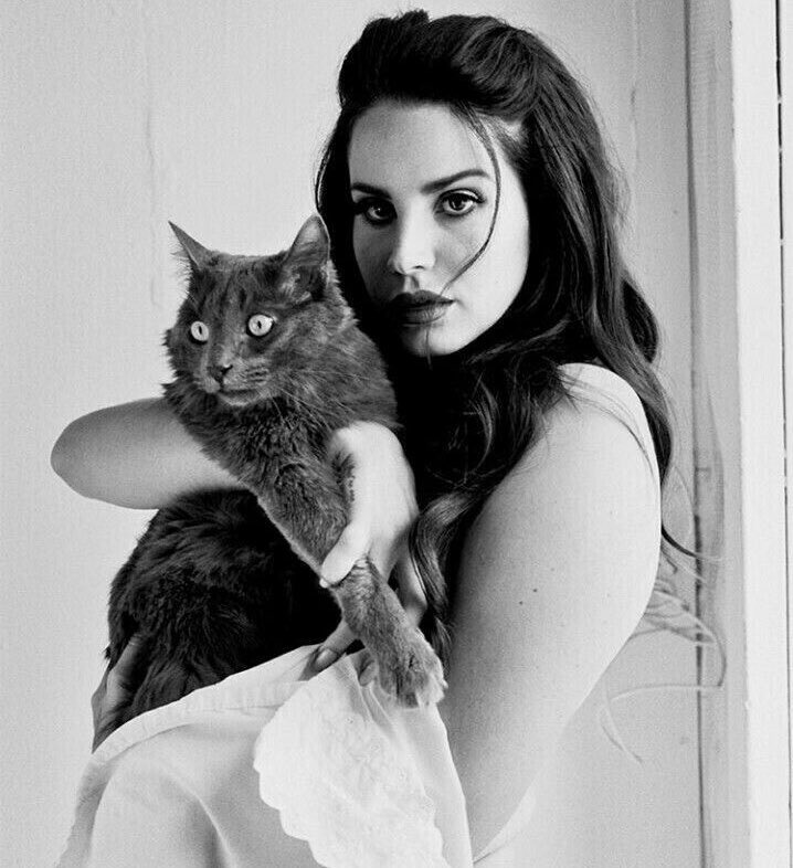 bartlebyn's tweet image. In this house we are bisexual 🏳️‍🌈