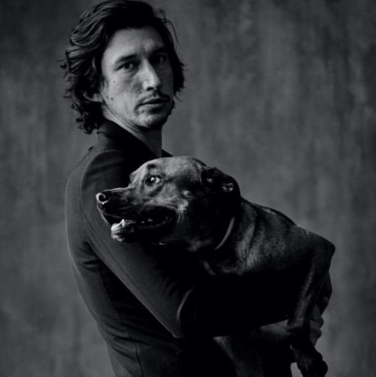 bartlebyn's tweet image. In this house we are bisexual 🏳️‍🌈