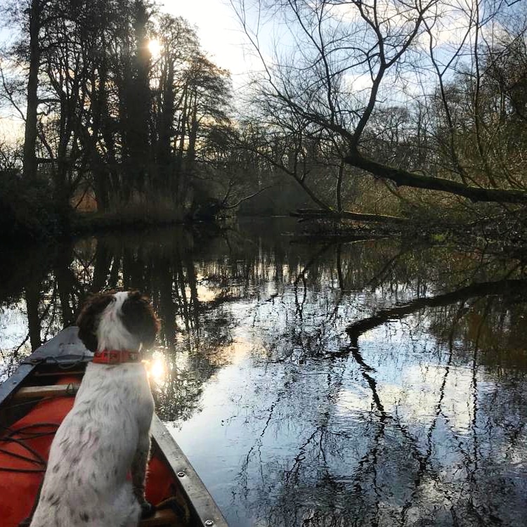 TheCanoeMan's tweet photo. And the first location for our #winter #canoe trail is.... Honing to Wayford Bridge! Join us on this beautiful scenic trail on the 25th January @ £30 p. adult and £20 p. child. More info and booking can be found on the website @ https://t.co/Vnr5S2GAFo
#thecanoeman #wildlife https://t.co/1DXXbkPE8Q