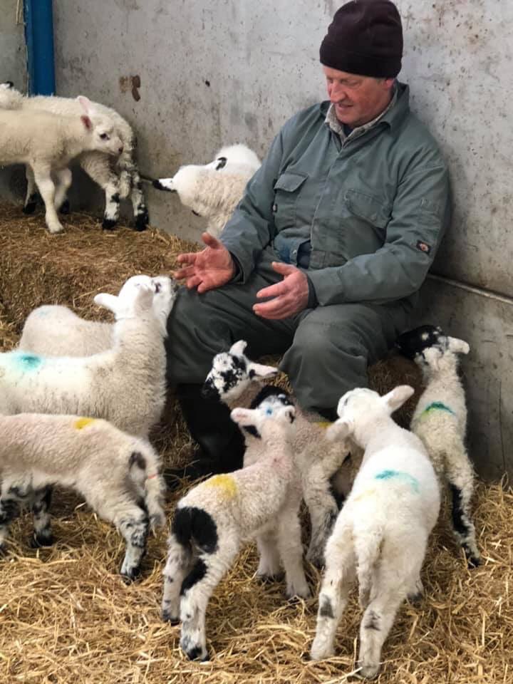 #farmingis a cheaper alternative to a #carehome for your #dad ! Chief  #petlamb feeder #love #dad #familyfarm #backbritishfarming #teamlamb #teamsheep