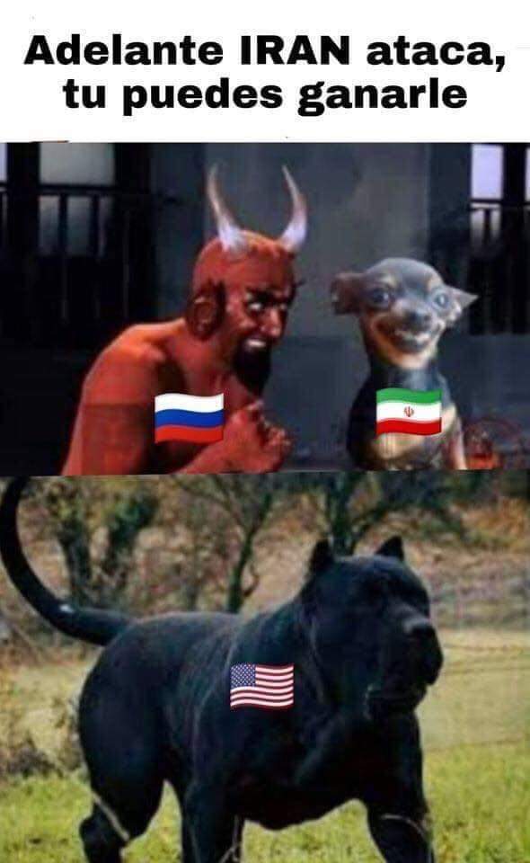 AlphastormRX's tweet photo. @hodgetwins BEST MEME! #USAVSIRAN #USA https://t.co/WBFe0jrDM2