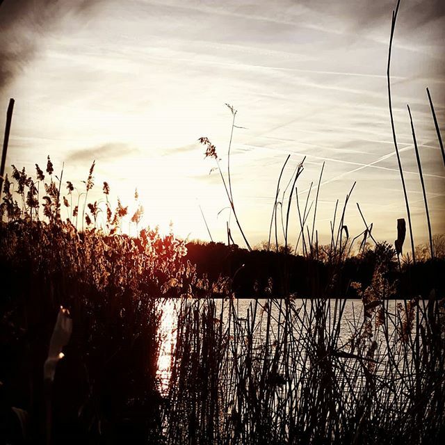 Just before #sunset somewhere in #vanhtotz ... #EndlessRiding #mountainbiking #adventurebybike #goniceplacesdogoodthings #localride #sunsetphotography #amateurphotography #sportersbelevenmeer #sportenindenatuur #buitenbeleefjemeer ift.tt/2FHtX36