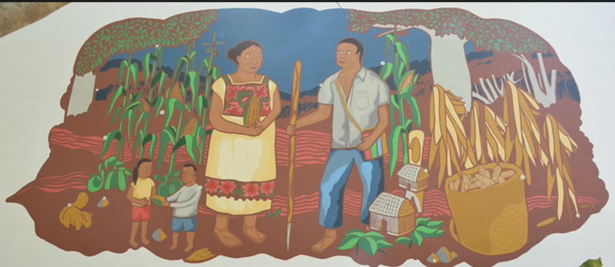 #MilpaSustentable 
¿Conoces el mural “La Primera Casa”? Fue pintado por habitantes de Yaxunah, Yucatán, para  conmemorar la importancia de proteger la milpa maya. Checa nuestra galería en <a href="/Flickr/">Flickr</a>
➡️ bit.ly/2QIfz0Q
