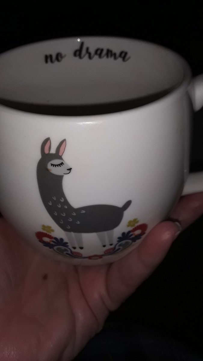 Happy Saturday my people 
#Mood #Nodramallamas 
Fresh brewed coffee with homemade creamer and a hint of #Cinnamon