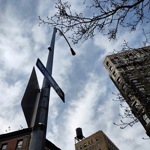 Fake Spring is here. ift.tt/2R6iEXE