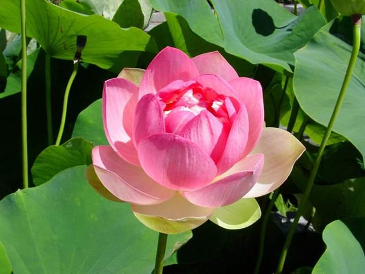 ⭐✳️🇮🇳तापोस🇮🇳✳️⭐ (@taposkumarbasu) on Twitter photo <a href="/reeves5150/">Debra Reeves</a> <a href="/civi_mam/">Mam roj Çivi</a> <a href="/LatofaOb/">👑❤Latifa❤👑</a> <a href="/marinavibu609g/">🌻MARINA🌻</a> @CristinPereyra <a href="/musfaca/">M.Fatih Çalıkoğlu</a> <a href="/Shumona13/">Shumona</a> <a href="/Silau25/">♡Silvia♡</a> <a href="/Stair66Ahmed/">Abu Ahmed Ibrahimi الابراهيمي ابواحمد</a> <a href="/ivymarina1/">.</a> @Chandra1Vinod <a href="/Rh63th/">Rhman2</a> <a href="/noor34q/">Nuya</a> <a href="/yasa1k/">yasa</a> <a href="/RereRhman/">Rhman</a> <a href="/cez120/">yara</a> @163kii @brendak32405 <a href="/vicky_zarazua/">azul</a> <a href="/virgyane/">Luz Mary.</a> <a href="/NisG88/">nisa</a> <a href="/Hirokilove12287/">🦋👑NUAZ ω👑</a> <a href="/jaimemiserachi/">Jaime Miserachi</a> <a href="/MattBas25986668/">Matt Bass(AKA)Thorfin</a> <a href="/Jilliemary/">Jillian Peeling</a> <a href="/Berecks1/">VikkiF</a> <a href="/Printspixnremix/">Shugga_Shugg</a> @PapaPorter1 <a href="/LaurenVictorita/">LAUREN VICTORITA 방탄소년단</a> <a href="/RizzoGigirz58/">Luigi Rizzo 💌</a> <a href="/r95731/">💓 s a R a v 💓 🇮🇳मेरा भारत महान🇮🇳 🥰100 K+🥰</a> <a href="/GualuCL/">❦• ᎶᏌᎪᏞᏌ┢┦aΡpy •❦</a> <a href="/ginestarros/">SuperGina♥️💚♥️</a> <a href="/succestattoo/">sebsuccestattoo\Inter💞</a> <a href="/HumbleIndian/">Vivek Hindustani</a> <a href="/DeFaukatrua/">Edu live</a> @martaseilan <a href="/GerardGorski/">Gorski Gerard</a> <a href="/PushingLimits3/">Pushing Limits</a> <a href="/silviasebille/">❤️Silvia S ❤️Amo los 👒</a> <a href="/Aroly_YO/">👉🏻Aylin...👇🏻#CHErRy ◽◻️◽🍒🔱🔭🥇♻️🏹🛡️</a> <a href="/RosaTrunk/">Rosa</a> <a href="/OutSideInKLAV/">Ms Martha TV/Radio</a> <a href="/SKSMediaIran/">SKS Media Iran</a> <a href="/Indi_Amour/">♛ I*N*D*I*A*N*A ♛«</a> <a href="/indigohope/">indigohope🍃peace80k</a> 🌏🌿💚🌿💚💞💚🌿💚🌿🌏 <a href="/reeves5150/">Debra Reeves</a> <a href="/civi_mam/">Mam roj Çivi</a> <a href="/LatofaOb/">👑❤Latifa❤👑</a> <a href="/marinavibu609g/">🌻MARINA🌻</a> @CristinPereyra <a href="/musfaca/">M.Fatih Çalıkoğlu</a> <a href="/Shumona13/">Shumona</a> <a href="/Silau25/">♡Silvia♡</a> <a href="/Stair66Ahmed/">Abu Ahmed Ibrahimi الابراهيمي ابواحمد</a> <a href="/ivymarina1/">.</a> @Chandra1Vinod <a href="/Rh63th/">Rhman2</a> <a href="/noor34q/">Nuya</a> <a href="/yasa1k/">yasa</a> <a href="/RereRhman/">Rhman</a> <a href="/cez120/">yara</a> @163kii @brendak32405 <a href="/vicky_zarazua/">azul</a> <a href="/virgyane/">Luz Mary.</a> <a href="/NisG88/">nisa</a> <a href="/Hirokilove12287/">🦋👑NUAZ ω👑</a> <a href="/jaimemiserachi/">Jaime Miserachi</a> <a href="/MattBas25986668/">Matt Bass(AKA)Thorfin</a> <a href="/Jilliemary/">Jillian Peeling</a> <a href="/Berecks1/">VikkiF</a> <a href="/Printspixnremix/">Shugga_Shugg</a> @PapaPorter1 <a href="/LaurenVictorita/">LAUREN VICTORITA 방탄소년단</a> <a href="/RizzoGigirz58/">Luigi Rizzo 💌</a> <a href="/r95731/">💓 s a R a v 💓 🇮🇳मेरा भारत महान🇮🇳 🥰100 K+🥰</a> <a href="/GualuCL/">❦• ᎶᏌᎪᏞᏌ┢┦aΡpy •❦</a> <a href="/ginestarros/">SuperGina♥️💚♥️</a> <a href="/succestattoo/">sebsuccestattoo\Inter💞</a> <a href="/HumbleIndian/">Vivek Hindustani</a> <a href="/DeFaukatrua/">Edu live</a> @martaseilan <a href="/GerardGorski/">Gorski Gerard</a> <a href="/PushingLimits3/">Pushing Limits</a> <a href="/silviasebille/">❤️Silvia S ❤️Amo los 👒</a> <a href="/Aroly_YO/">👉🏻Aylin...👇🏻#CHErRy ◽◻️◽🍒🔱🔭🥇♻️🏹🛡️</a> <a href="/RosaTrunk/">Rosa</a> <a href="/OutSideInKLAV/">Ms Martha TV/Radio</a> <a href="/SKSMediaIran/">SKS Media Iran</a> <a href="/Indi_Amour/">♛ I*N*D*I*A*N*A ♛«</a> <a href="/indigohope/">indigohope🍃peace80k</a> 🌏🌿💚🌿💚💞💚🌿💚🌿🌏