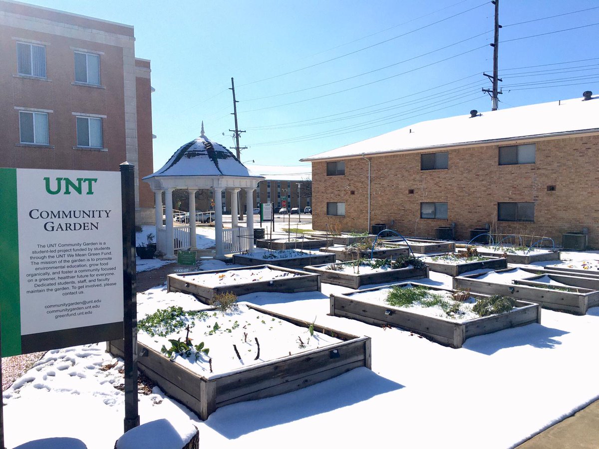 hhadhikari's tweet photo. UNT Community garden @growmeangreen turned into Snow Garden! @UNTsocial @UNTWMGF @growmeangreen @UNT_DSA @UNTEcoReps @UNTnews
#UNT #UNTCommunity #UNTGreen #UNTCommunityGarden #wemeangreenfund https://t.co/85n0okjLiL
