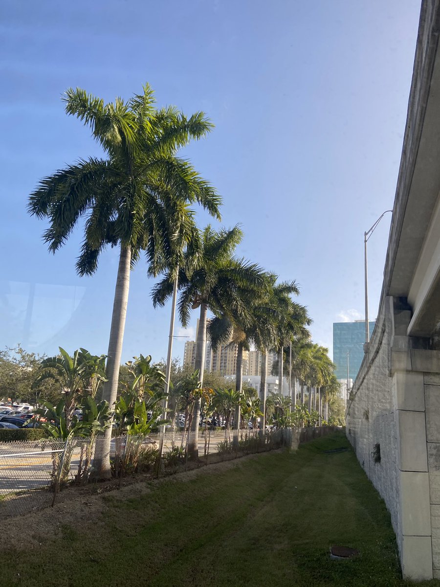 SUWBBManagers's tweet photo. Miami, FL 🌴☀️🍊 https://t.co/yTAceq1b79