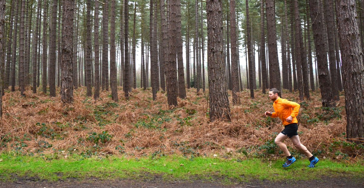 ForestryEngland's tweet photo. Run towards your goals this year… quite literally! Our running trails suit beginners as well as seasoned pros. #ForestFit #2020Goals
👉🏾 https://t.co/BDcngRrq1n https://t.co/mXzEtA4VB2