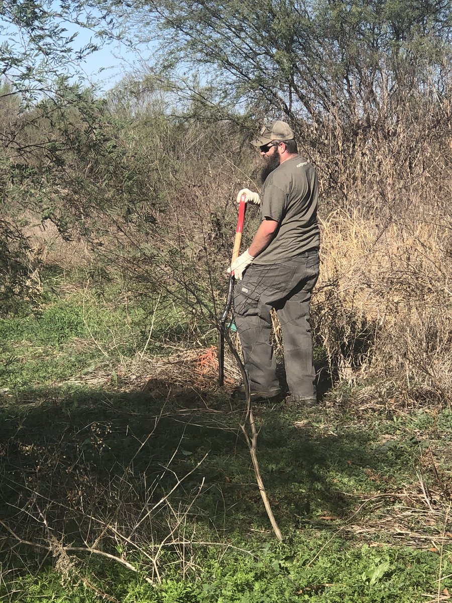 AtheistsAtWork's tweet photo. We had a great morning volunteering with our friends  @sanantonioriver We are proud Watershed Wise Warriors and know it is our job to help take care of our community and our planet! We helped plant about 120 trees this morning! #atheistsatwork #watershedwise https://t.co/uNF2B9O122