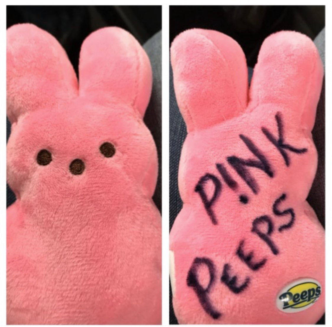 LABrown12's tweet image. @Pink I can’t think of any better medicine for my friend @MissieBickel, who is recovering from brain surgery, then to get a S/O from her all-time favorite. #please #cancersucks