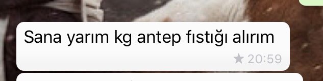 Yeter artık pahalı kuruyemiş zaafımı kullanmayın :’(